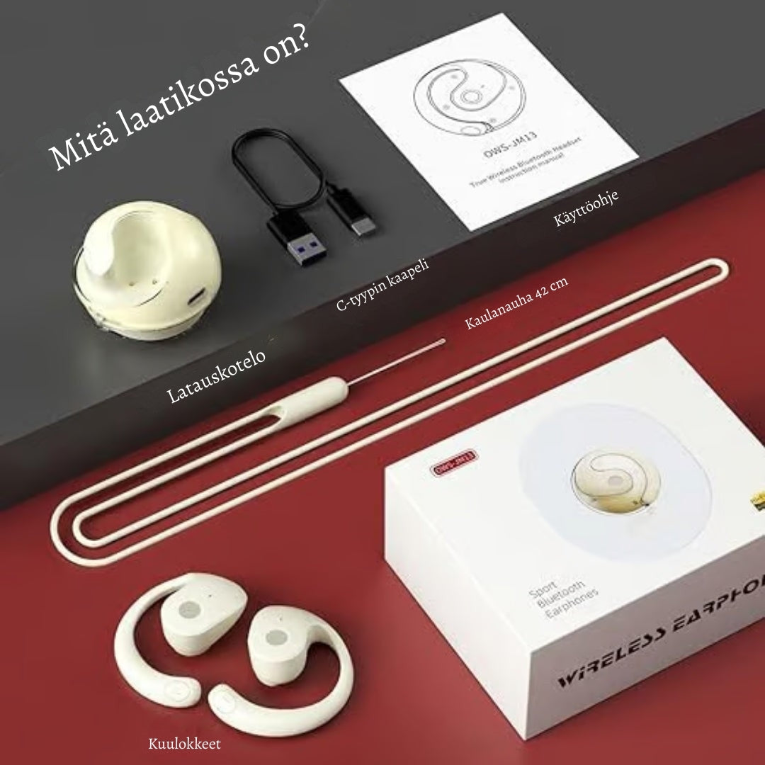 KieliNappi – Puhu vapaasti, vaikka ette puhuisi samaa kieltä